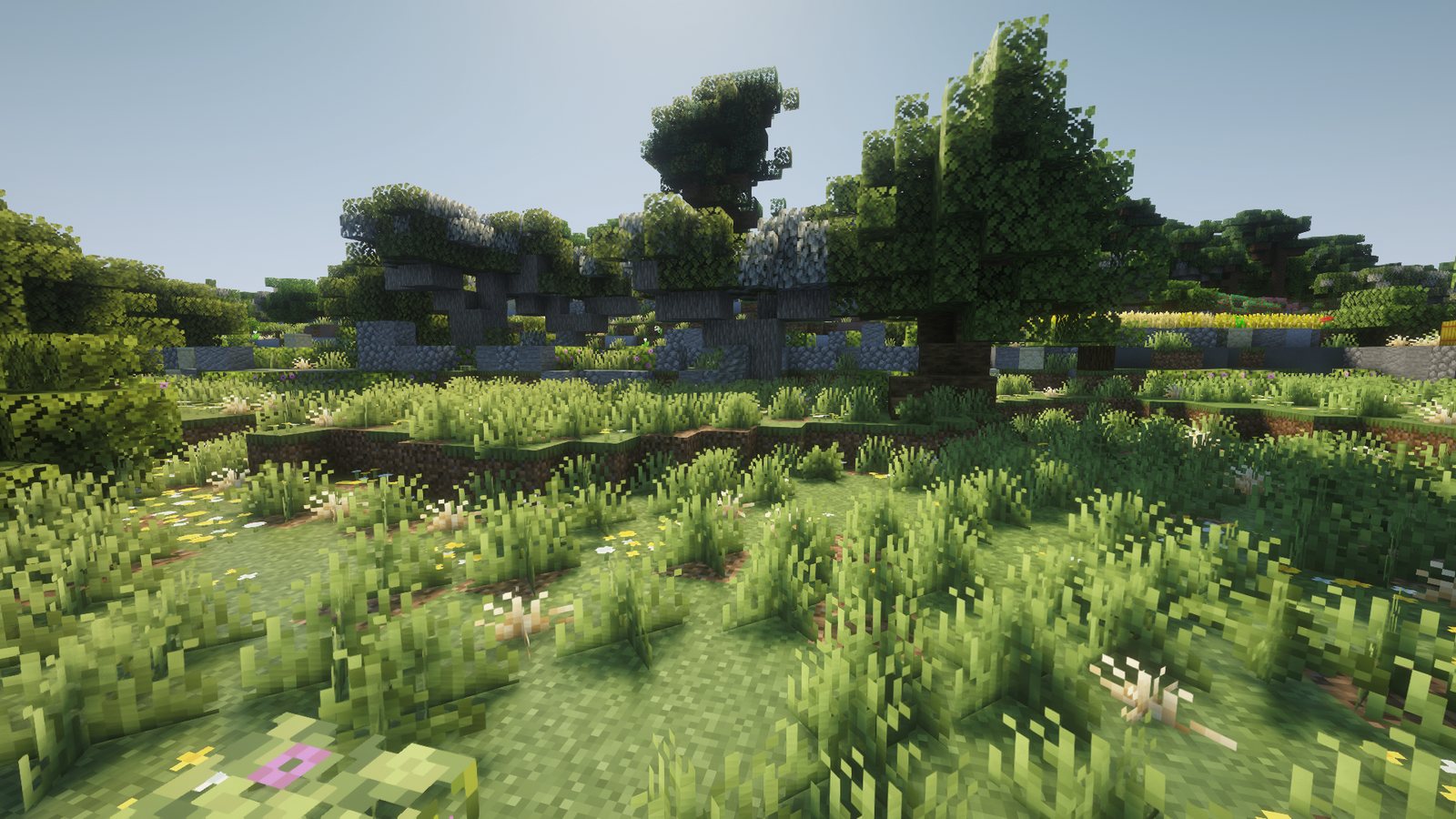 Olive trees along a field wall near Chadwick Lakes in Malta in Minecraft