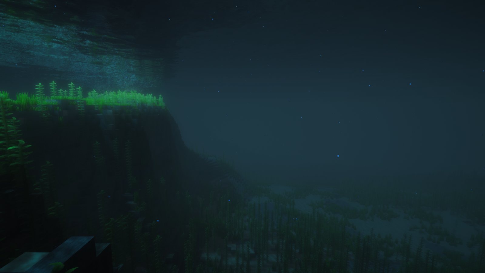 The underwater wall at Crocodile Rock