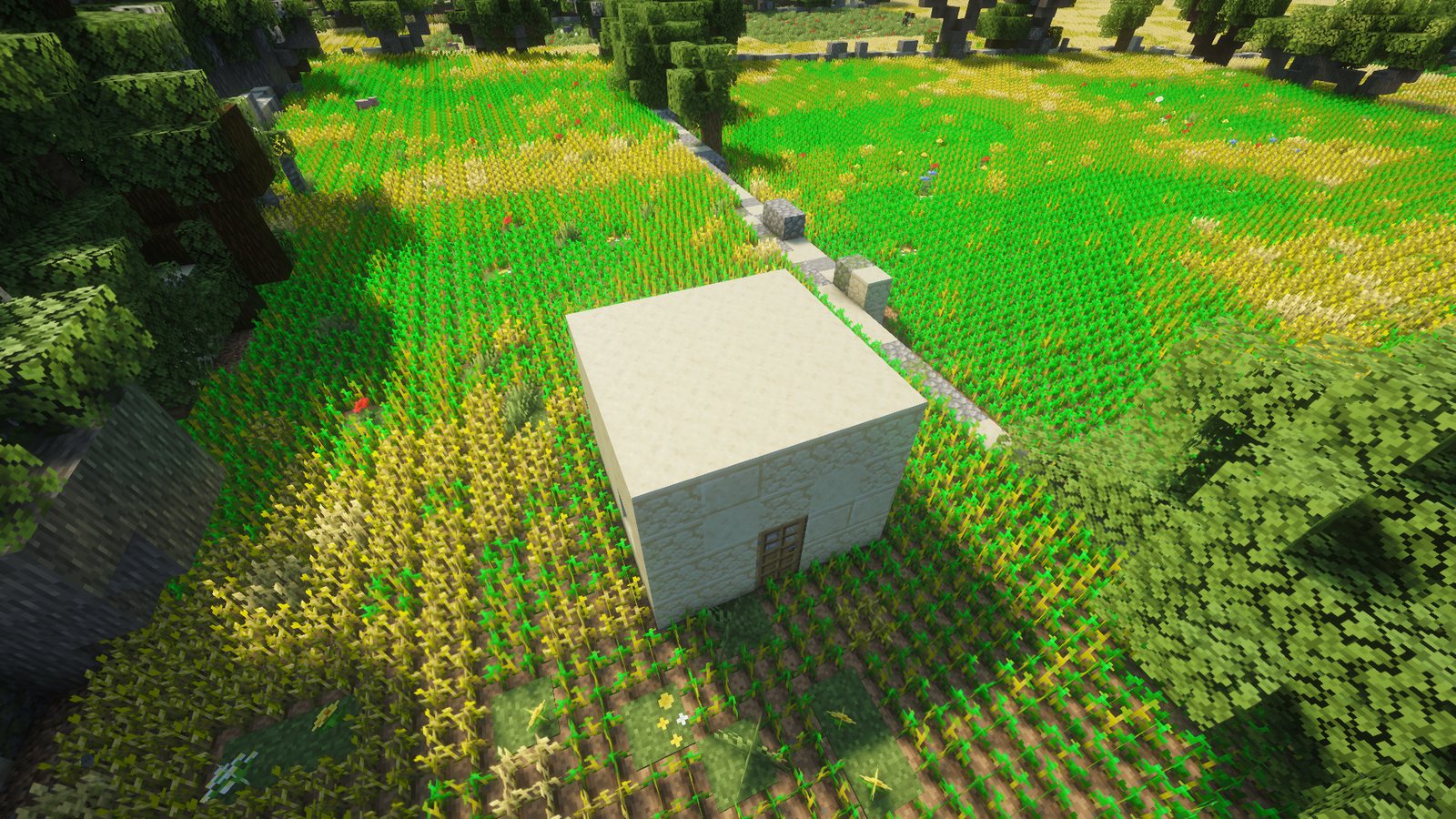 A whole 5 by 5 field room in a wheat field beside a track in Malta in Minecraft
