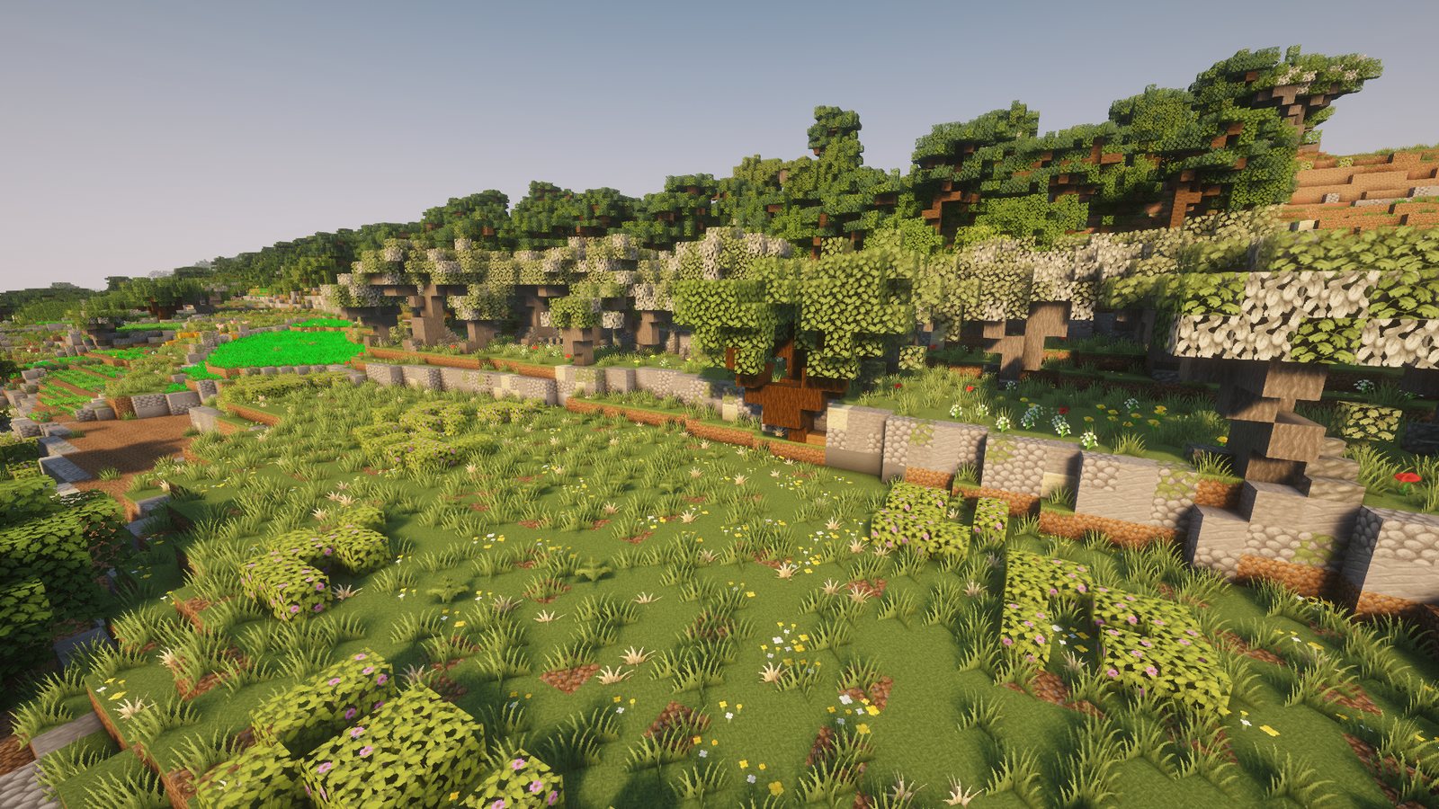 Olives on a terrace above a rubble wall in north Gozo in Malta in Minecraft