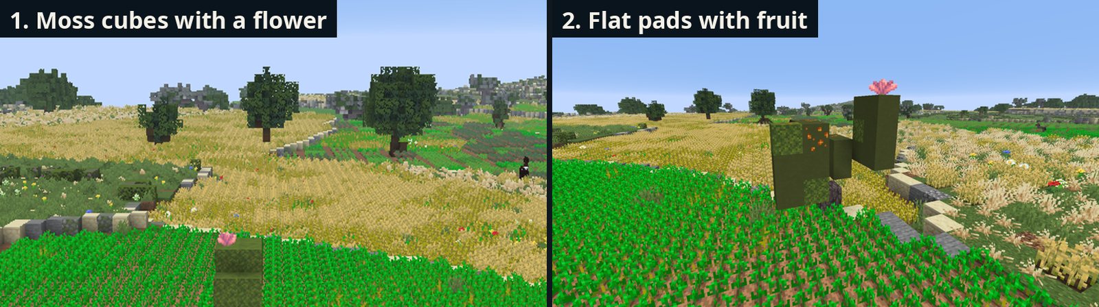 Prickly pear: the first version (moss cubes with a flower) and the flat-pad version with fruit